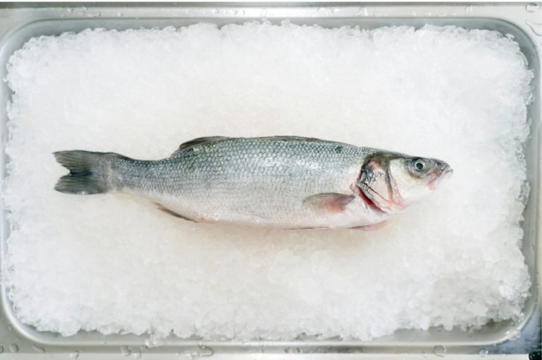 How to Store Your Fresh Seafood the Right Way