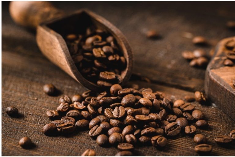 Your Guide to Starting Your Own Coffee Business