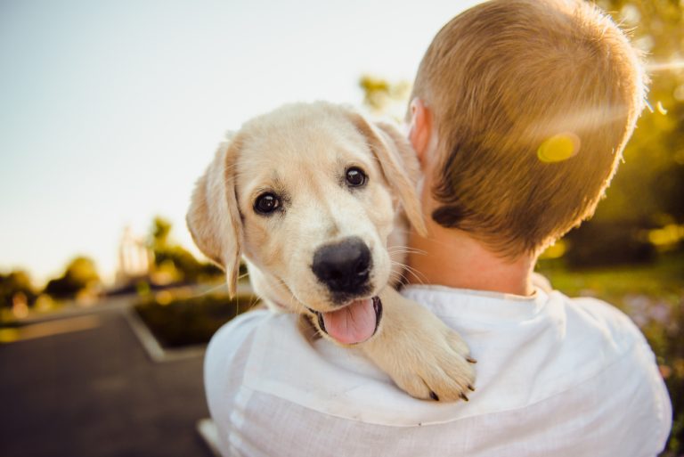 Adopting a Puppy: Happy and Healthy Tips