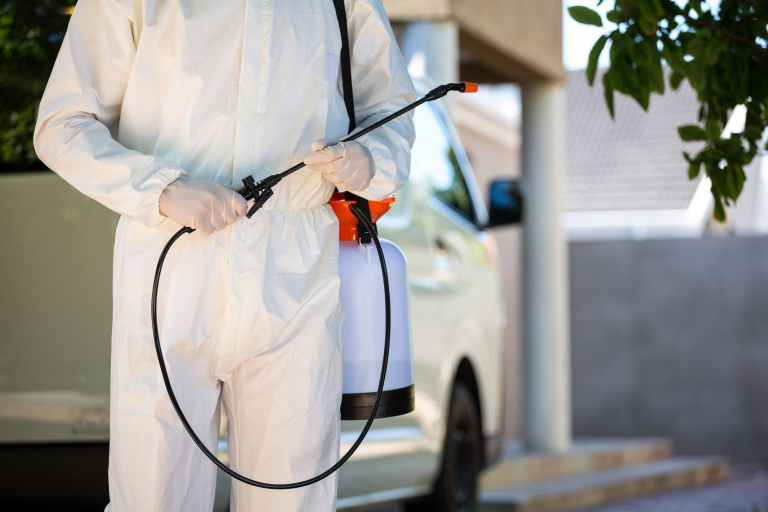 The Ultimate Guide to Pest Control: Everything You Need to Know