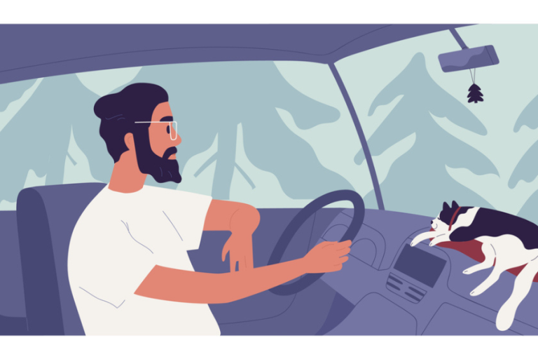 Psychology of Road Rage