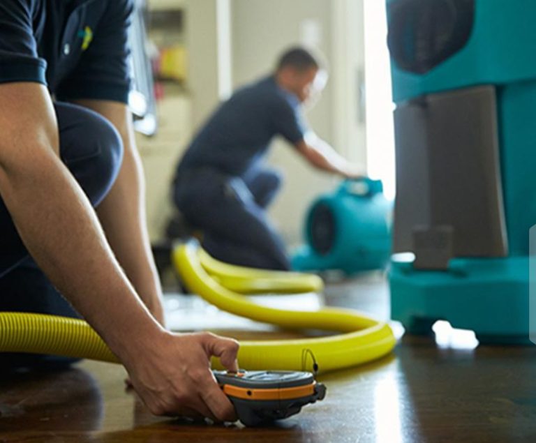 Mastering Mold Mitigation: Your Essential Guide to a Healthier Home