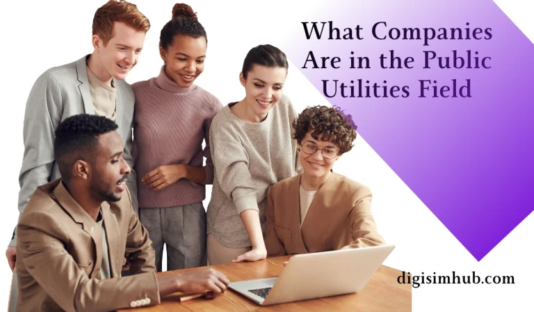 What Companies Are in the Public Utilities Field