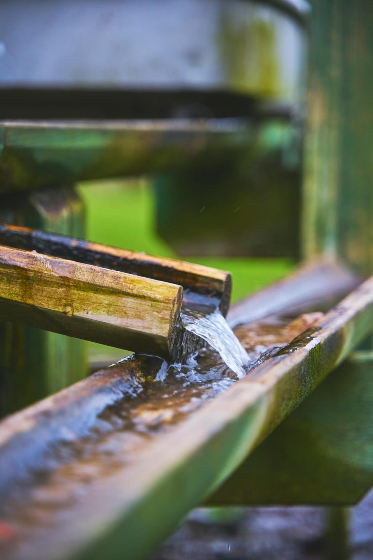 How South Carolina Residents Can Maintain Their Gutters
